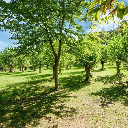 Belvilla By Oyo Fattoria 19 Casa de Férias Amandola