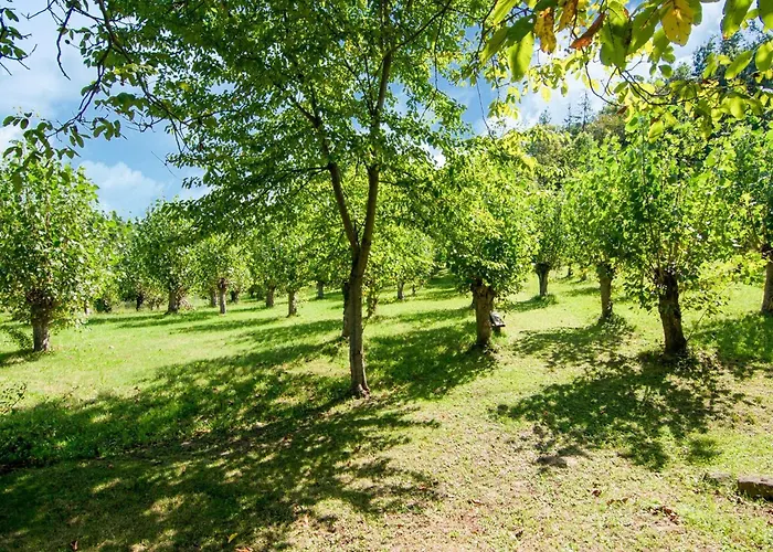 Magnifique With Pool Prázdninový dům Amandola